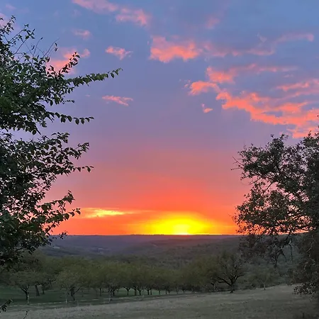Casa de hóspedes Les Caminols *