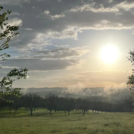 Les Caminols * La Dornac