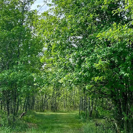 Les Caminols La Dornac