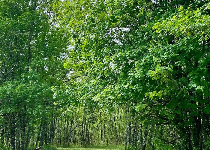 Les Caminols La Dornac
